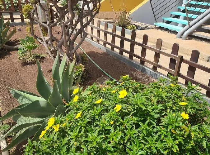 Apartamento Casa Daria - Wifi - Swimming Pool - Fuerteventurabay Costa De Antigua